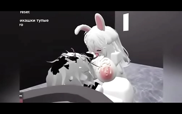 Two hot bunnies share a wild night with big wet loads in the club